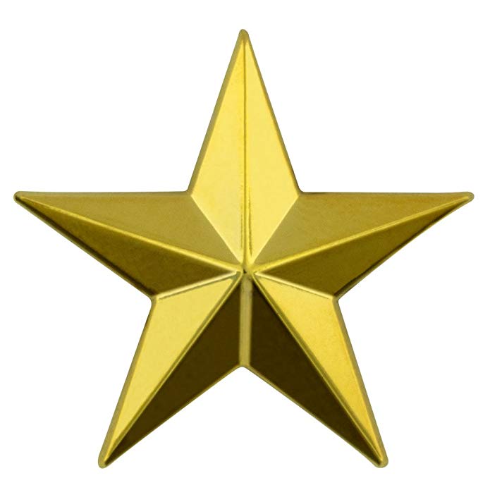 PinMart Military 3D 5 Point Gold Star Lapel Pin