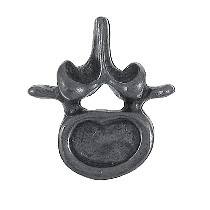 Jim Clift Design Vertebra Lapel Pin