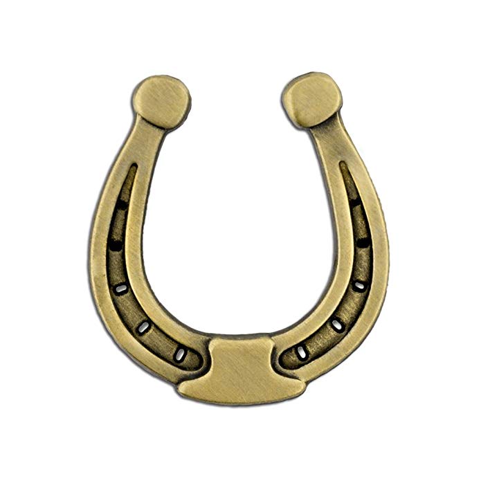 PinMart Antique Gold Lucky Horseshoe Cowboy Western Lapel Pin