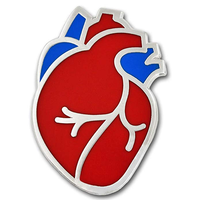 PinMart The Human Heart Medical Enamel Lapel Pin