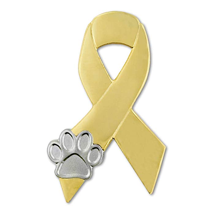 PinMart Gold and Silver Animal Cruelty Awareness Ribbon Paw Print Lapel Pin