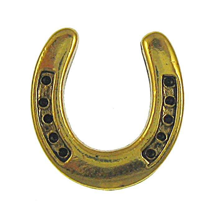 Jim Clift Design Horseshoe Gold Lapel Pin